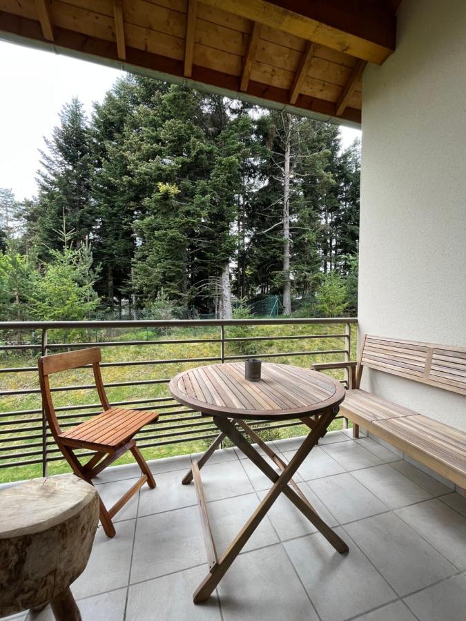"Les Oiseaux" Avec Terrasse, Parking, Duplex Apartment Le Chambon-sur-Lignon Bagian luar foto