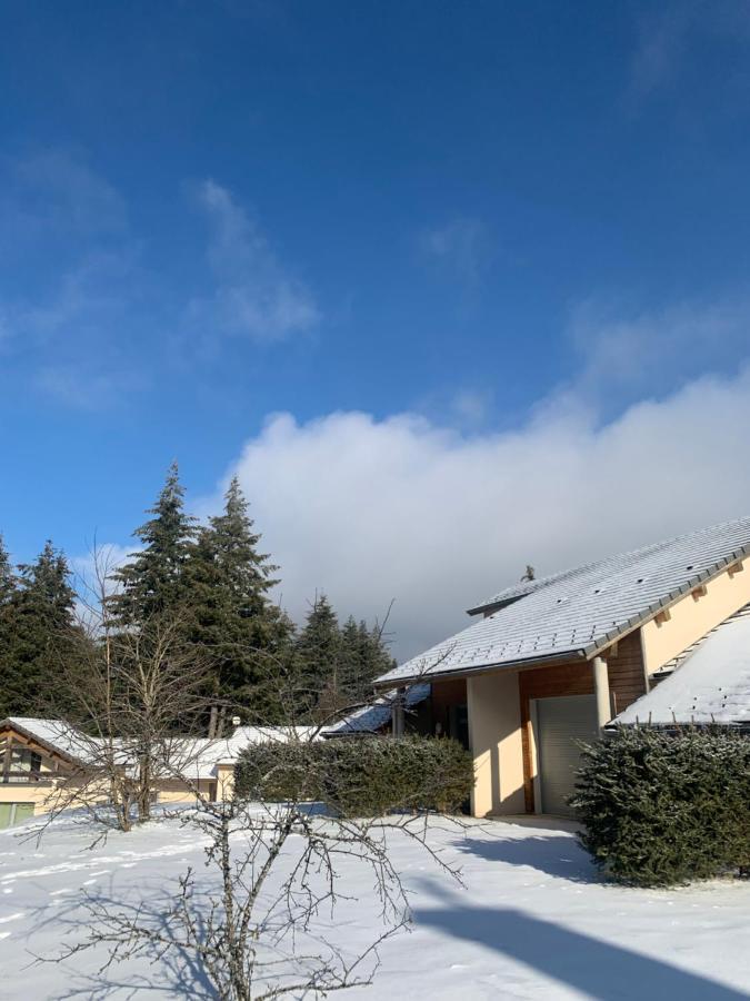 "Les Oiseaux" Avec Terrasse, Parking, Duplex Apartment Le Chambon-sur-Lignon Bagian luar foto