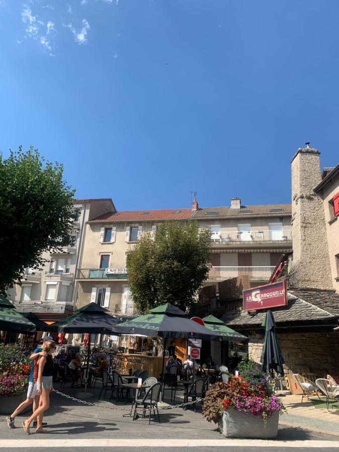 "Les Oiseaux" Avec Terrasse, Parking, Duplex Apartment Le Chambon-sur-Lignon Bagian luar foto